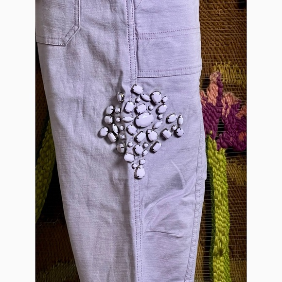 Anthropologie Wanderer Jeweled Pants 27 - Picture 3 of 16